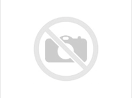 Bearys Green Run-2025