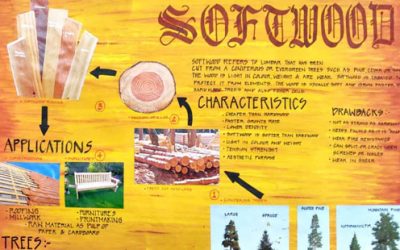 MATERIALS AND METHODS IN BUILDING CONSTRUCTION : WOOD