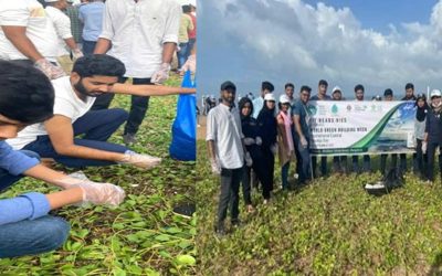 Architecture for a Cleaner Coast – Beach cleaning