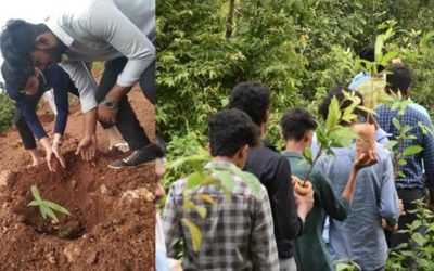 Growing BEARYS’ Green Footprint – Plantation Drive at Campus