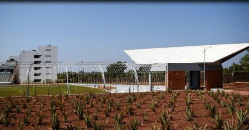 BEARY’S ARENA INAUGURATION