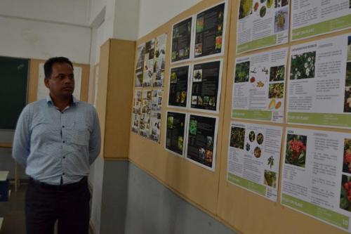 COUNCIL OF ARCHITECTURE INSPECTIONS, AY 2018-2019